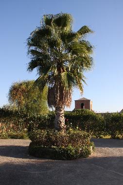 Bed and Breakfast in marrakech (Marrakech) or holiday homes and vacation rentals