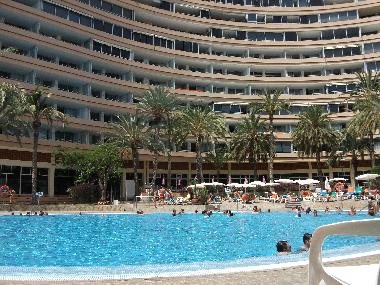 Holiday Apartment in adeje (Teneriffa) or holiday homes and vacation rentals