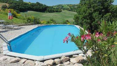 Holiday Apartment in Arcevia (Ancona) or holiday homes and vacation rentals