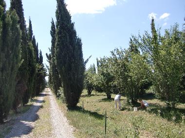 Holiday House in Salles d'Aude (Aude) or holiday homes and vacation rentals