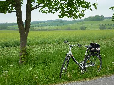 Holiday House in Dahmen (Mecklenburgische Seenplatte) or holiday homes and vacation rentals