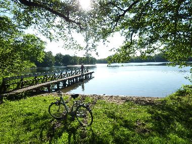 Holiday House in Dahmen (Mecklenburgische Seenplatte) or holiday homes and vacation rentals