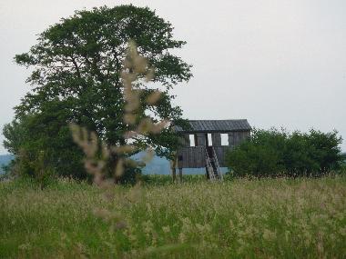 Holiday Apartment in Dahmen (Mecklenburgische Schweiz) or holiday homes and vacation rentals