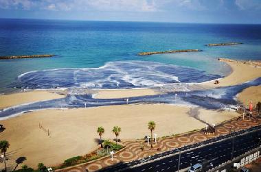 The small lagoons in the nearby seashore!