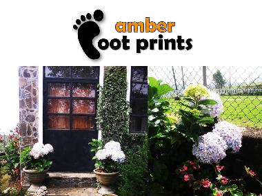 Holiday House in Nuwaraeliya (Nuwara Eliya) or holiday homes and vacation rentals