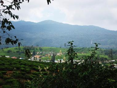 Holiday House in Nuwaraeliya (Nuwara Eliya) or holiday homes and vacation rentals