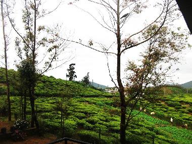 Holiday House in Nuwaraeliya (Nuwara Eliya) or holiday homes and vacation rentals