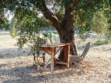 Giardini di Marzo - Giardino