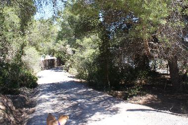 Holiday House in Sa Caleta (Ibiza) or holiday homes and vacation rentals
