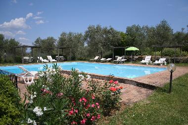 Holiday Apartment in Montaione (Firenze) or holiday homes and vacation rentals
