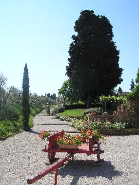 Holiday Apartment in Montaione (Firenze) or holiday homes and vacation rentals