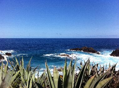 Villa in Ravine des Cabris (R�union) or holiday homes and vacation rentals