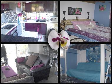 Villa in Ravine des Cabris (R�union) or holiday homes and vacation rentals