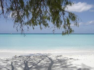 Villa in Ravine des Cabris (R�union) or holiday homes and vacation rentals
