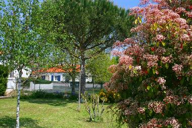 Holiday Apartment in Dompierre sur mer (Charente-Maritime) or holiday homes and vacation rentals