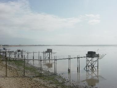 Holiday Apartment in Dompierre sur mer (Charente-Maritime) or holiday homes and vacation rentals