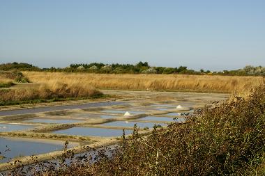 Holiday Apartment in Dompierre sur mer (Charente-Maritime) or holiday homes and vacation rentals
