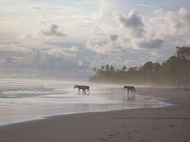 Villa in Mal Pa�s (Puntarenas) or holiday homes and vacation rentals