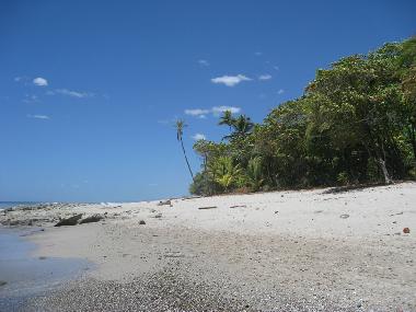 Villa in Mal Pa�s (Puntarenas) or holiday homes and vacation rentals