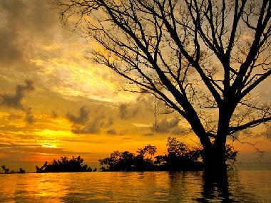 Villa in Mal Pa�s (Puntarenas) or holiday homes and vacation rentals