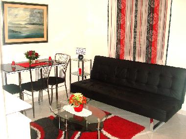 The living room with a sofa bed