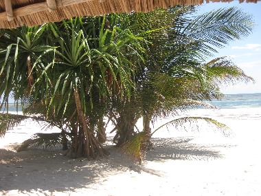 Villa in Watamu (Coast) or holiday homes and vacation rentals