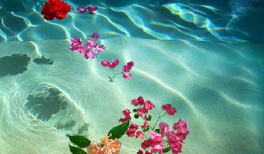Villa in Watamu (Coast) or holiday homes and vacation rentals