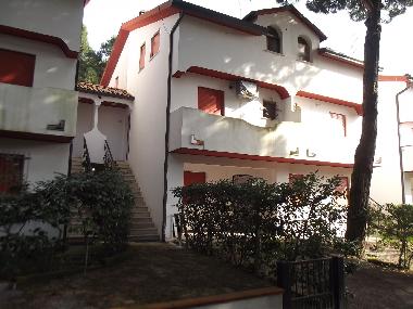 The outside of the house in the pinewood