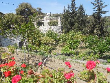 the orchard surrounding the well-house 