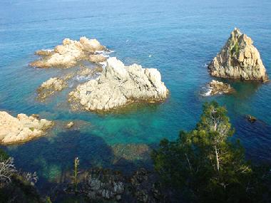 Holiday Apartment in tossa de mar (Girona) or holiday homes and vacation rentals