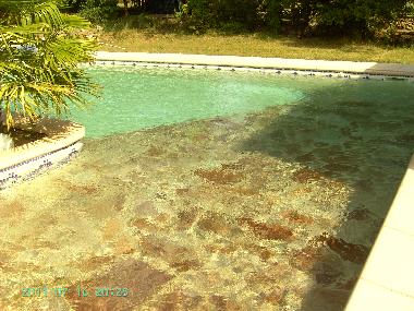 Villa in regusse (Var) or holiday homes and vacation rentals