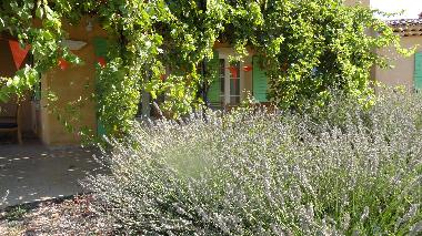 Villa in REGUSSE (Var) or holiday homes and vacation rentals