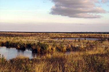 Holiday House in Rhauderfehn (Nordsee-Festland / Ostfriesland) or holiday homes and vacation rentals