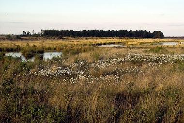 Holiday House in Rhauderfehn (Nordsee-Festland / Ostfriesland) or holiday homes and vacation rentals