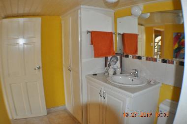 bathrom is located within the bedroom