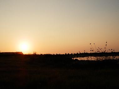 Holiday House in Sa Rocca Tunda, San Vero Milis (Oristano) or holiday homes and vacation rentals