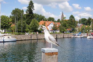 Holiday House in Waabs (Ostsee-Festland) or holiday homes and vacation rentals