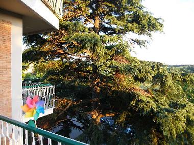 Holiday Apartment in Rome (Roma) or holiday homes and vacation rentals