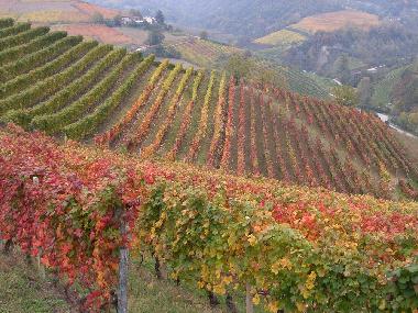 Holiday House in Alba (Cuneo) or holiday homes and vacation rentals