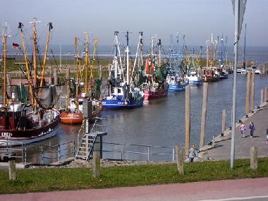 Holiday Apartment in Dorum-Neufeld (Nordsee-Festland / Ostfriesland) or holiday homes and vacation rentals