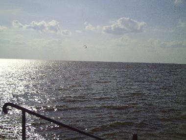 Holiday Apartment in Dorum-Neufeld (Nordsee-Festland / Ostfriesland) or holiday homes and vacation rentals