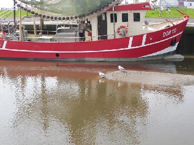 Holiday Apartment in Dorum-Neufeld (Nordsee-Festland / Ostfriesland) or holiday homes and vacation rentals