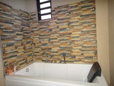 Holiday Apartment in FLIC EN FLAC (Black River) or holiday homes and vacation rentals