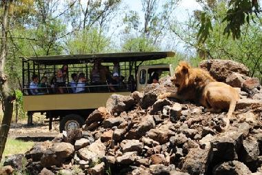 Casela nature park flic en flac