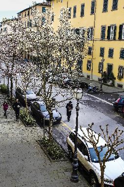 Holiday Apartment in Lucca (Lucca) or holiday homes and vacation rentals