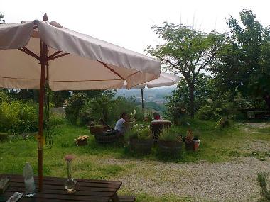 The front garden and the valley of Canaleon the background