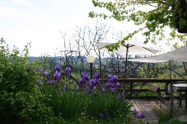 The front garden in early spring and a partial view of the front yard terrasse