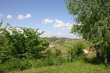 The backyard garden - very private