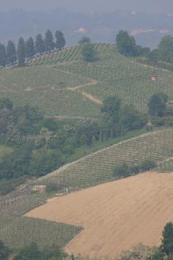 Ca Momplin is surrounded by vineyards