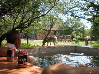 Holiday House in Marloth Park (Mpumalanga) or holiday homes and vacation rentals